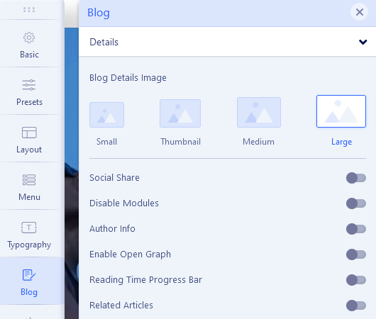 A single Article View - details settings